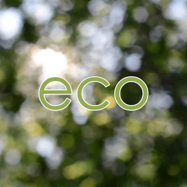 Mot Eco Sur Fond Vert Flou Effet Bokeh — Photo