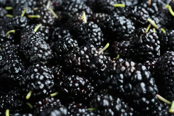 Fresh Ripe Black Mulberries Background Closeup — 图库照片