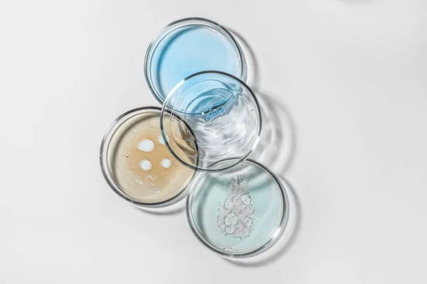Petri Πιάτα Υγρά Χρώμα Λευκό Φόντο Επίπεδη Lay — Φωτογραφία Αρχείου