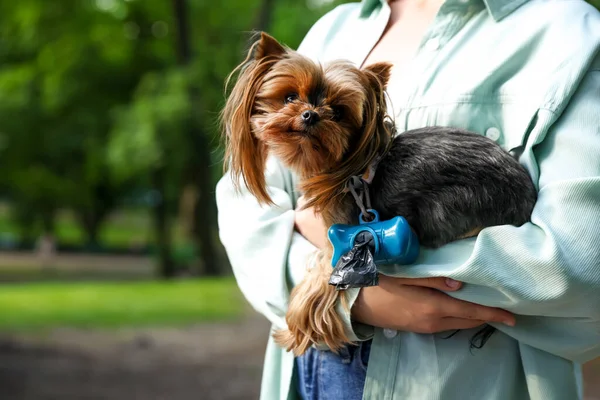 Woman Holding Her Cute Dog Waste Bags Park Closeup Space — Stock Photo, Image