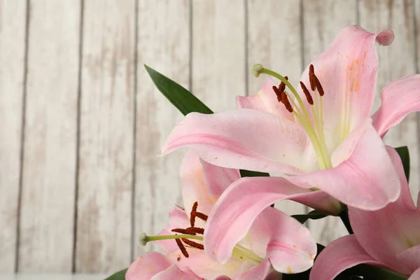 Gyönyörű Rózsaszín Liliom Virágok Fehér Háttér Közelkép Szöveg Helye — Stock Fotó