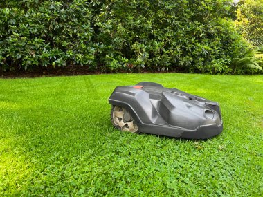 Modern robot lawn mower on green grass in garden