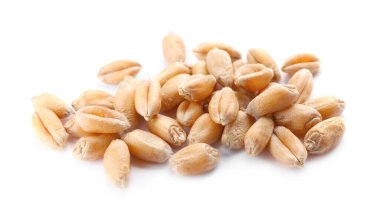 Pile of wheat grains on white background