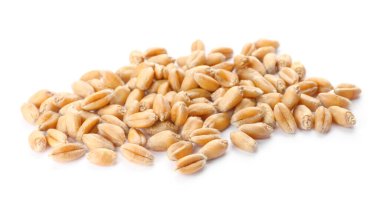 Pile of wheat grains on white background