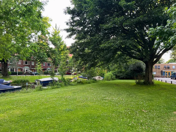 Picturesque View Beautiful Park Fresh Green Grass Trees Sunny Day — ストック写真