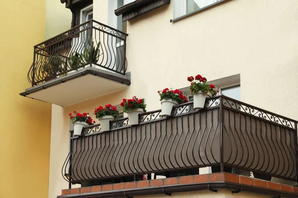 Elegantes Balcones Decorados Con Hermosas Plantas Maceta — Foto de Stock