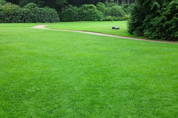 Beautiful Freshly Cut Green Lawn Park — Foto de Stock