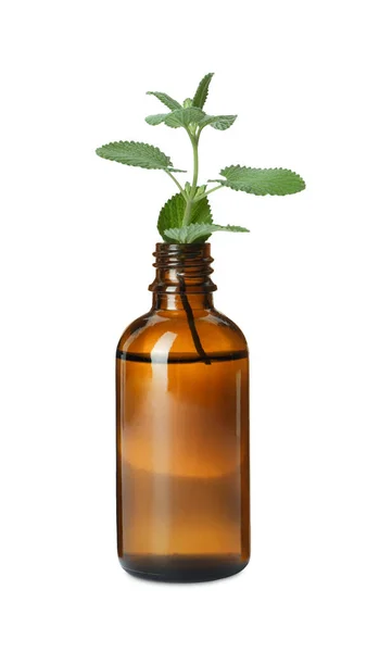 Bottle Essential Oil Mint Isolated White — Stock Photo, Image