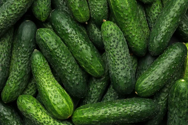 Fresh Whole Ripe Cucumbers Background Top View — Stock Photo, Image