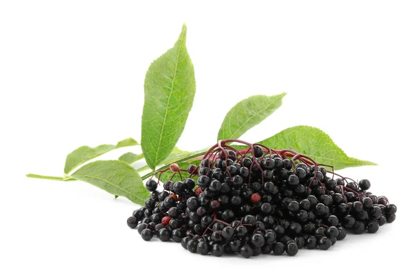 Bunch Ripe Elderberries Green Leaves Isolated White — Stock Photo, Image