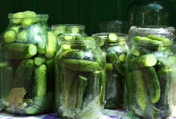 Glass Jars Fresh Ripe Cucumbers Table Pickling Vegetables — Stock Photo, Image