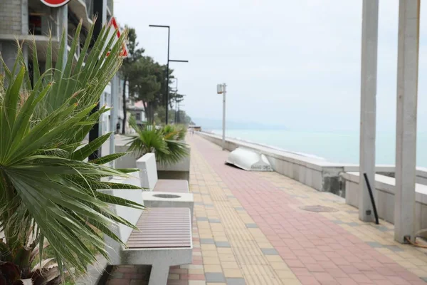 海旁有棕榈和长椅的度假城市街 — 图库照片