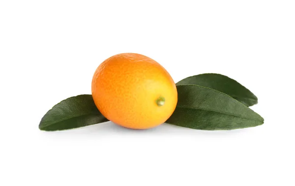 Frische Reife Kumquat Mit Blättern Isoliert Auf Weiß Exotische Früchte — Stockfoto