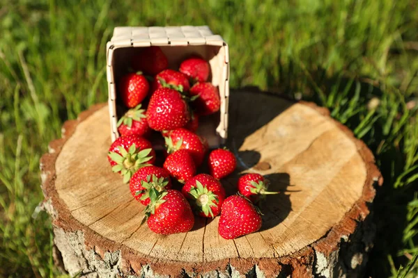 Basket with scattered ripe strawberries on tree stump outdoors