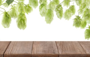 Taze yeşil atlama dalları ve beyaz arkaplanda boş ahşap yüzey, metin için boşluk