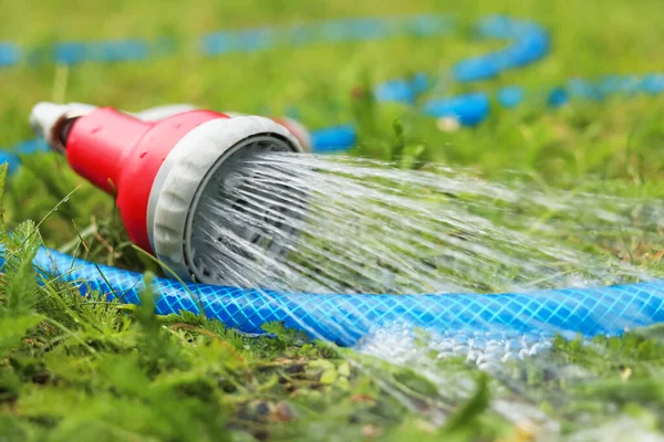 Water Spraying Hose Green Grass Outdoors Closeup — Stockfoto