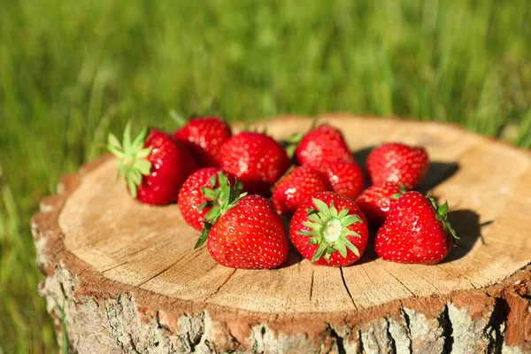 Ripe strawberries on tree stump outdoors, closeup