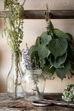 Bir sürü farklı kurumuş çiçek ve otlar.