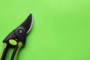 Yeşil arka planda Secateur, üst manzara. Metin için boşluk