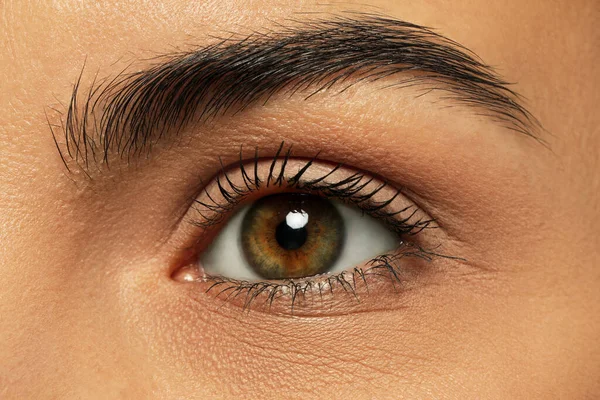 Woman Beautiful Hazel Eyes Closeup View — Stock Photo, Image