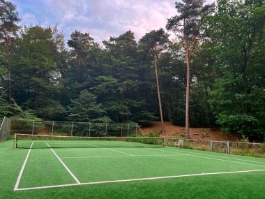 Tennis court with green grass and net outdoors