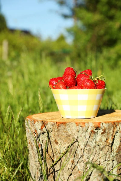 Bowl Ripe Strawberries Tree Stump Outdoors — Stock Photo, Image