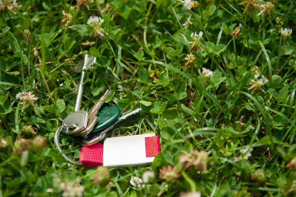 Keys Green Grass Outdoors Lost Found — Stock Photo, Image