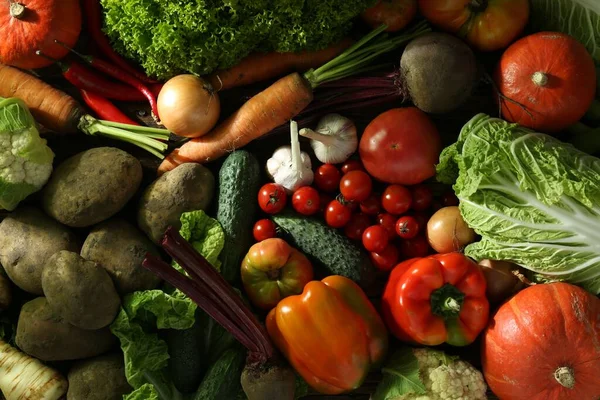 Διαφορετικά Φρέσκα Ώριμα Λαχανικά Φόντο Κορυφαία Άποψη Γεωργικά Προϊόντα — Φωτογραφία Αρχείου