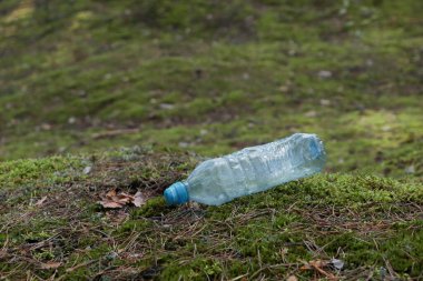 Ormanda çimlerin üzerinde plastik şişe kullanılmış. Geri dönüşüm sorunu