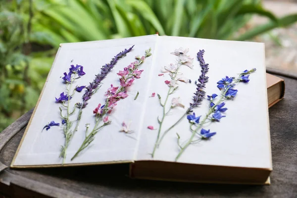 Βιβλίο Όμορφα Αποξηραμένα Λουλούδια Ξύλινο Τραπέζι Εξωτερικούς Χώρους Κοντινό Πλάνο — Φωτογραφία Αρχείου