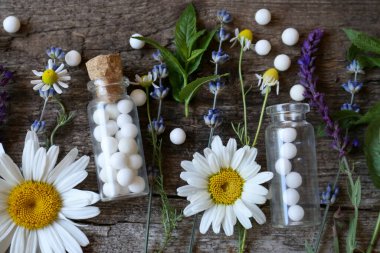 Homeopatik ilaç şişeleri ve ahşap arka planda farklı bitkiler.