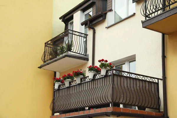 Elegantes Balcones Decorados Con Hermosas Plantas Maceta — Foto de Stock