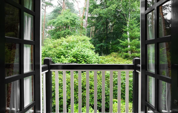 Beautiful Forest Many Different Green Plants View Balcony — Zdjęcie stockowe