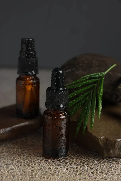 Flessen Van Biologische Cosmetische Producten Groen Blad Stenen Nat Oppervlak — Stockfoto