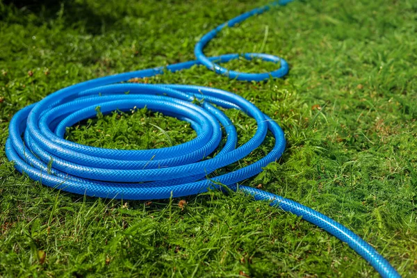 Blue watering hose on green grass outdoors