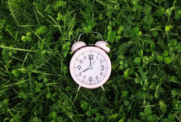 Relógio Alarme Pequeno Rosa Grama Verde Livre Vista Superior — Fotografia de Stock