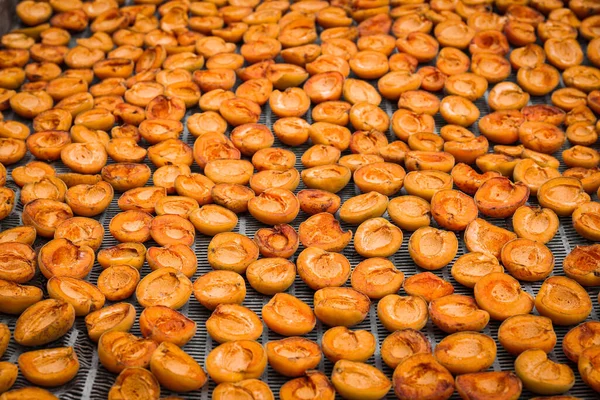 Many Halved Apricots Metal Drying Rack — Stockfoto