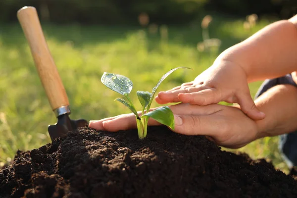 Mother Her Child Planting Tree Seedling Fertile Soil Closeup — Fotografia de Stock