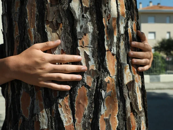 Boy hugging tree trunk outdoors on sunny day, closeup