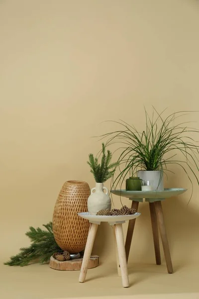 Decorative tables with candles and plants on beige background