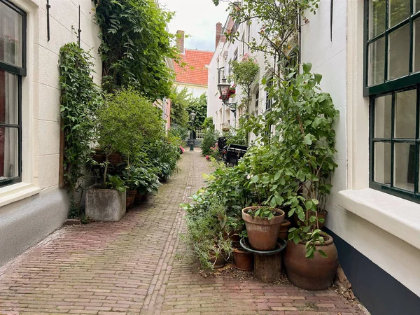 Prachtig Uitzicht Stad Straat Met Gebouwen Planten Zonnige Dag — Stockfoto