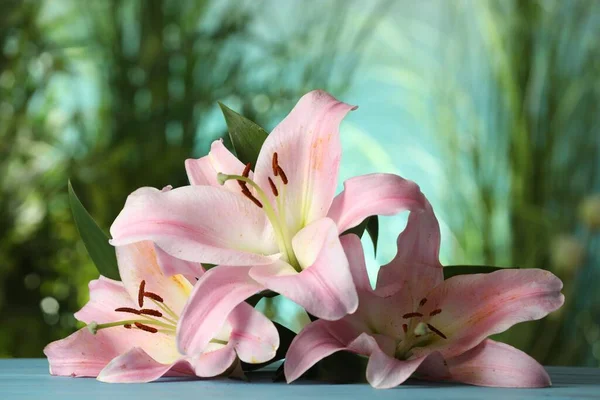 Schöne Rosa Lilienblüten Auf Türkisfarbenem Tisch Vor Verschwommenem Grünem Hintergrund — Stockfoto