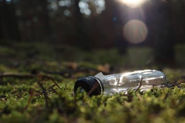 Ormanda çimlerin üzerinde kullanılmış cam şişe, mesaj için yer. Geri dönüşüm sorunu