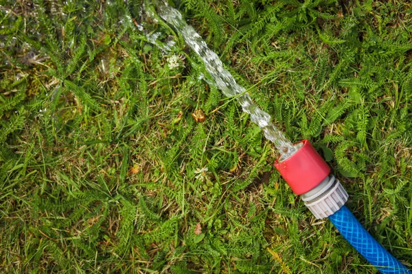 Vatten Rinner Från Slang Grönt Gräs Utomhus Ovanifrån Plats För — Stockfoto