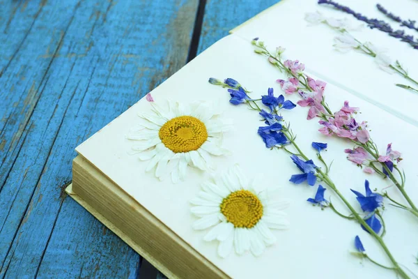 Βιβλίο Όμορφα Αποξηραμένα Λουλούδια Μπλε Ξύλινο Τραπέζι Closeup — Φωτογραφία Αρχείου