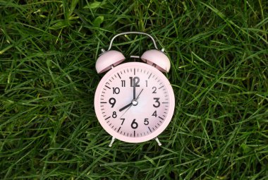 Yeşil çimlerin üzerinde küçük pembe alarm saati, üst manzara.