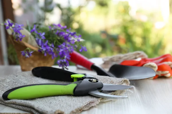 Secateurs Çiçekler Diğer Bahçe Aletleri Beyaz Ahşap Masa Üzerinde — Stok fotoğraf