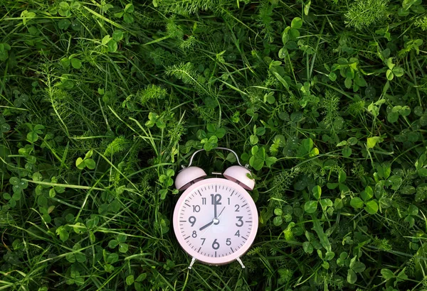 Рожевий Маленький Будильник Зеленій Траві Відкритому Повітрі Вид Зверху Простір — стокове фото