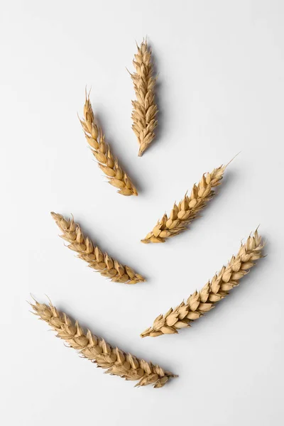 Spike Shape Made Ears Wheat White Background Flat Lay — Stock Photo, Image