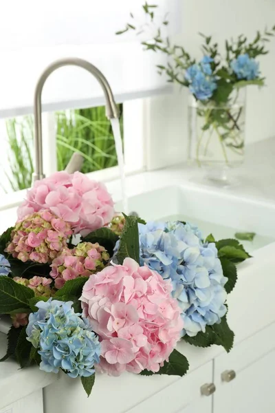 Beautiful light blue and pink hortensia flowers in kitchen sink